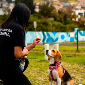 Asesoría Conductual Presencial